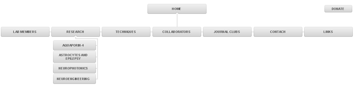 Translational Neuroscience sitemap